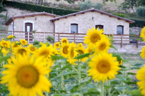  Agriturismo Fontefredda  Тавенна